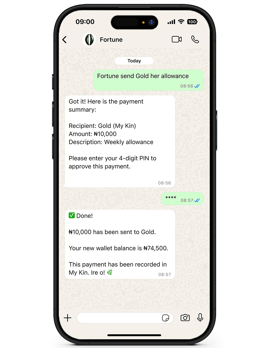 Fortune My Kin conversation