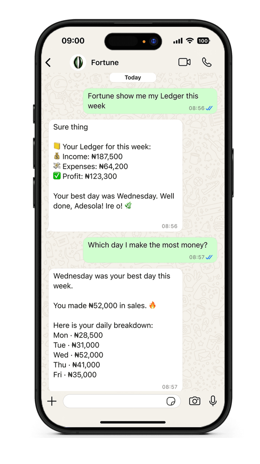 Fortune business ledger on WhatsApp